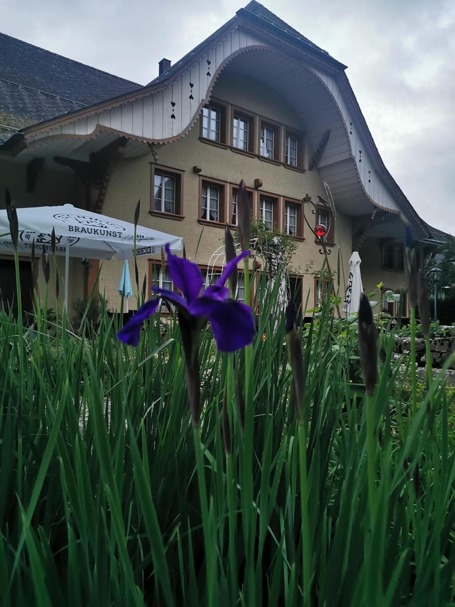 Gasthof Kreuz Marbach Ngoại thất bức ảnh