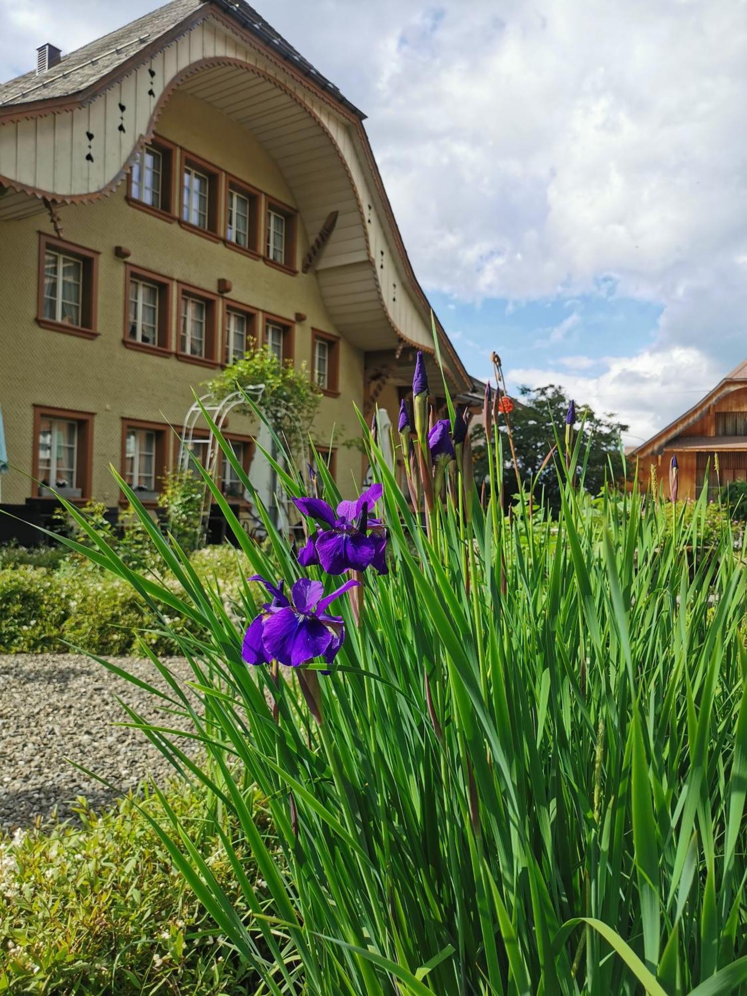Gasthof Kreuz Marbach Ngoại thất bức ảnh